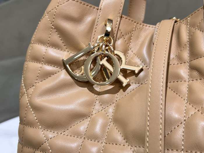 Dior Toujours “20 x 22 x 18.5cm”-047=