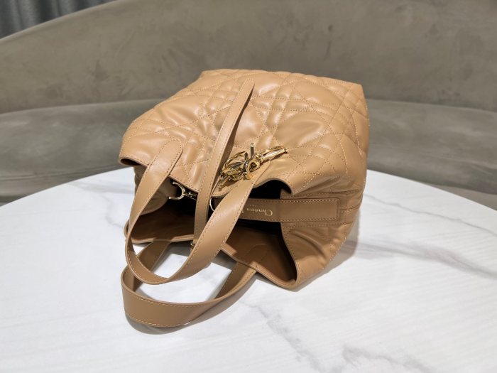 Dior Toujours “20 x 22 x 18.5cm”-047=