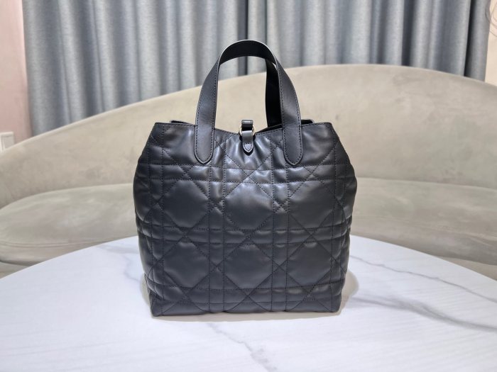 Dior Toujours “20 x 22 x 18.5cm”-047=