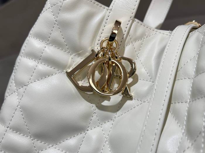 Dior Toujours “20 x 22 x 18.5cm”-047=