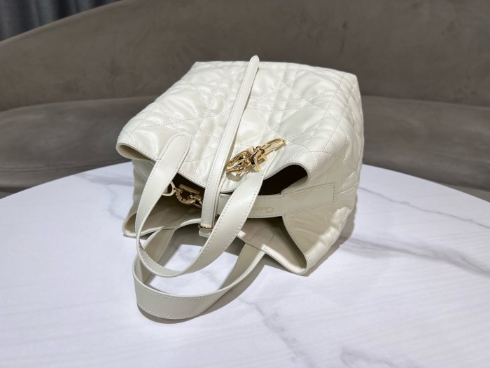 Dior Toujours “20 x 22 x 18.5cm”-047=