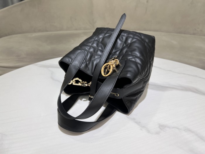 Dior Toujours “16×18×12cm”-096=