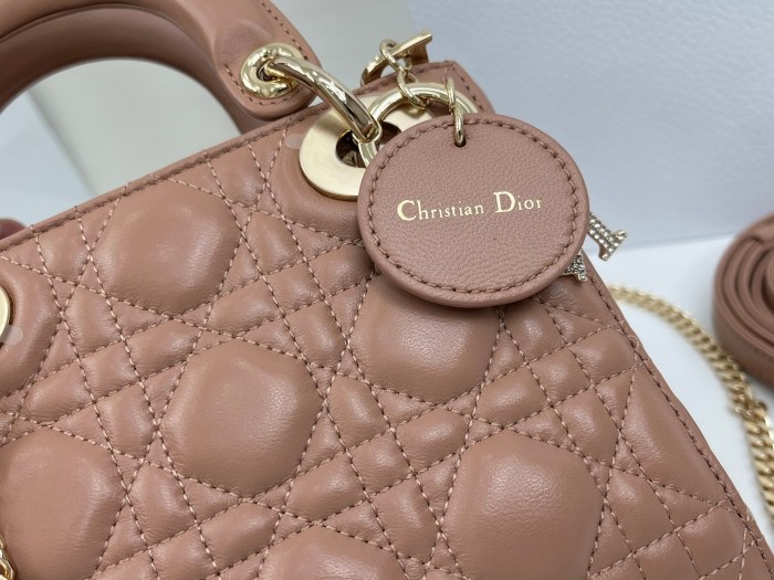 Lady Dior “17 x 15 x 7 cm”-067=