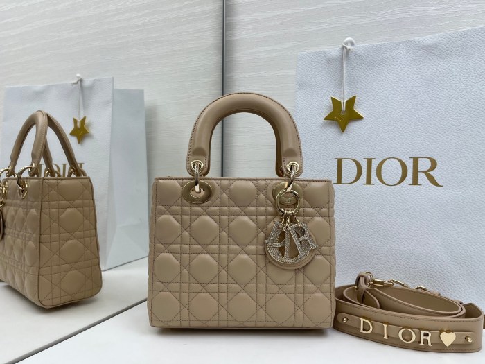 Lady Dior “20 x 17 x 8cm”-018=