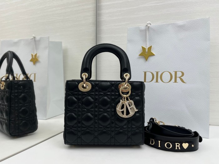 Lady Dior “20 x 17 x 8cm”-018=