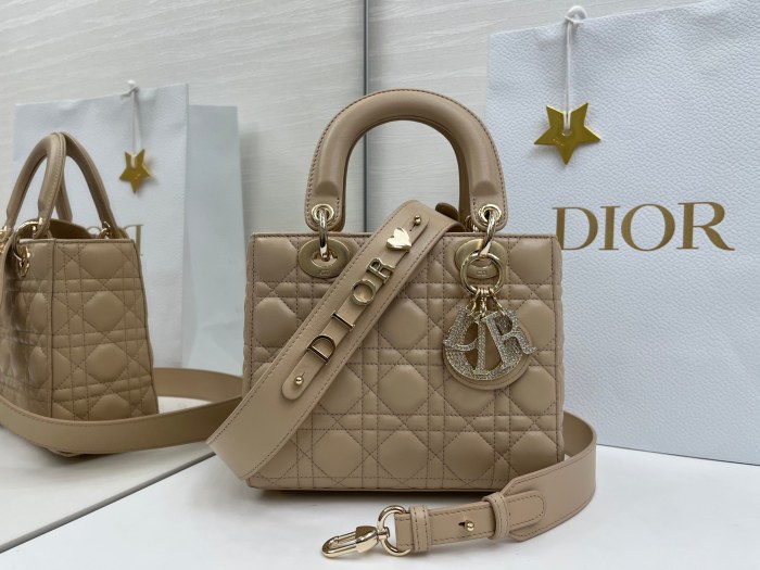 Lady Dior “20 x 17 x 8cm”-018=