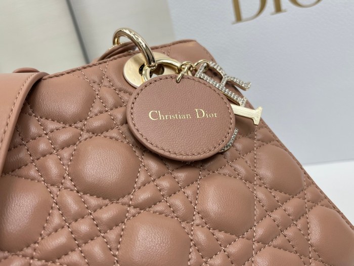 Lady Dior “20 x 17 x 8cm”-018=