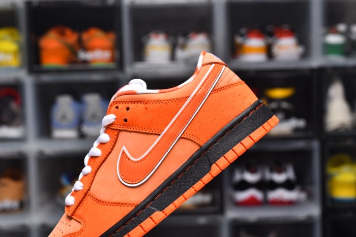 Dunk SB (Unisex)36-47=