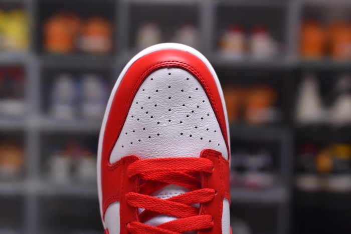 Dunk SB (Unisex)36-46=