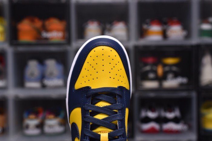 Dunk SB (Unisex)36-47=