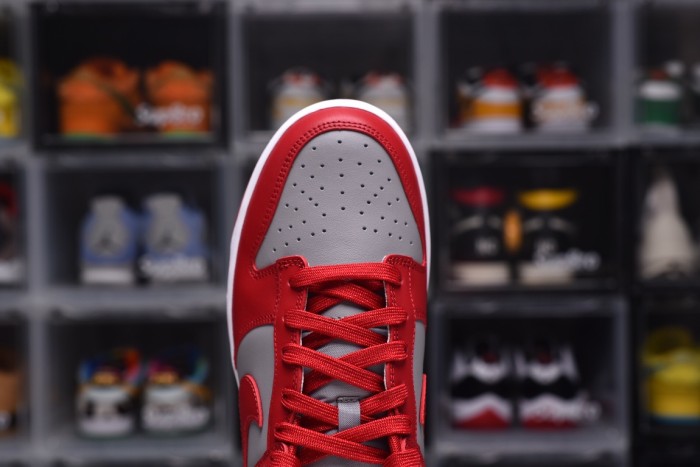 Dunk SB (Unisex)36-47=