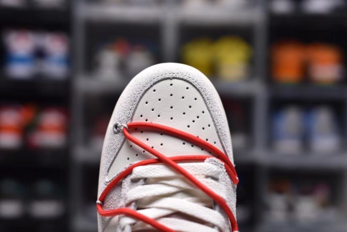Dunk SB (Unisex)36-47=