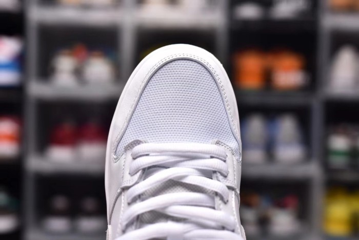 Dunk SB (Unisex)36-47=