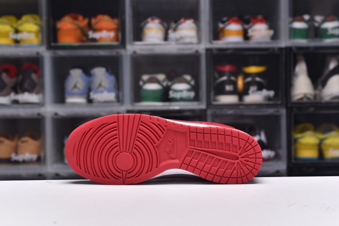 Dunk SB (Unisex)36-47=