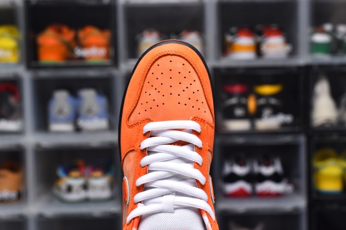 Dunk SB (Unisex)36-47=