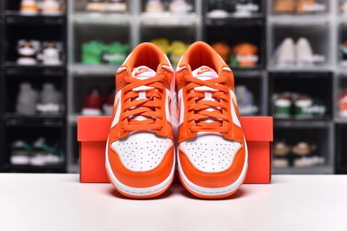 Dunk SB (Unisex)36-47
