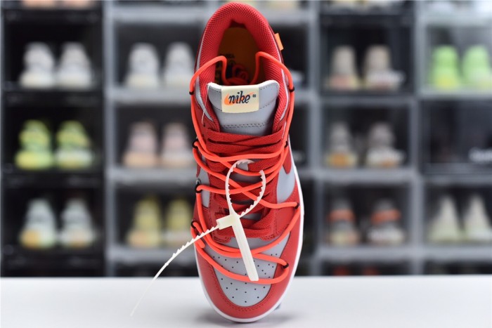 SB Dunk Lok Pro Community Garden(Unisex)36-46=