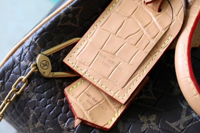 Speedy P9 Bandouliere 25 “25*15*15CM” 019