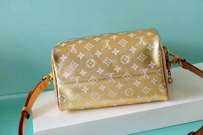 Speedy Bandouliere 25 “25*19*15CM” 029