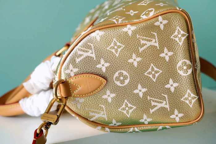 Speedy Bandouliere 25 “25*19*15CM” 029