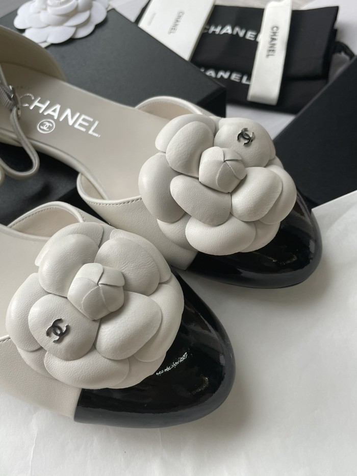 Slingbacks(Female)36-41=