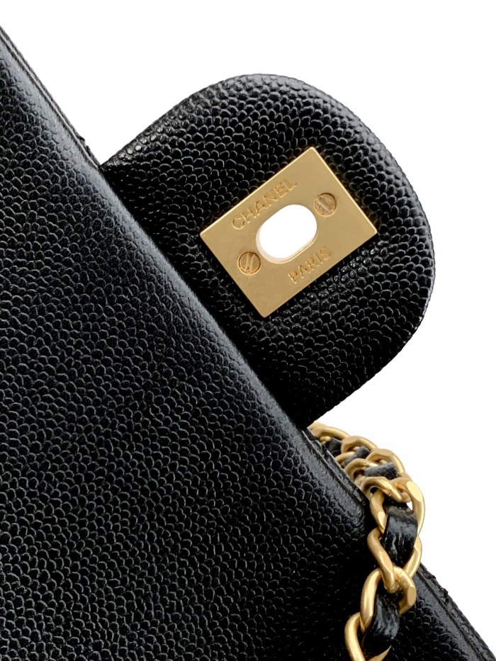 25B Classic Flap with Top Handle Small Caviar “12x19.5x6.5cm” -057 =AS5701