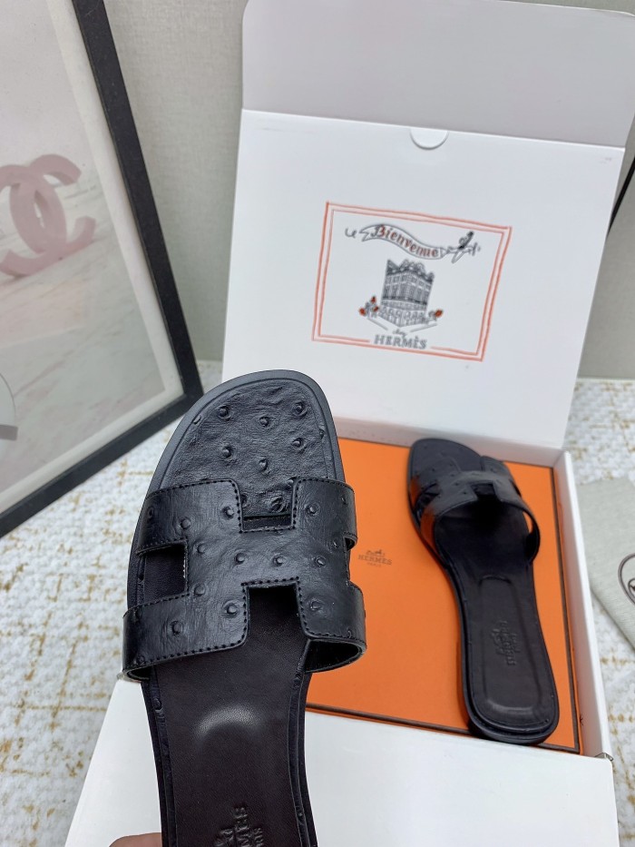 Oran Slides(Female)36-41=