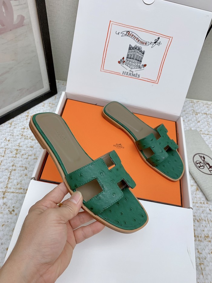 Oran Slides(Female)36-41=