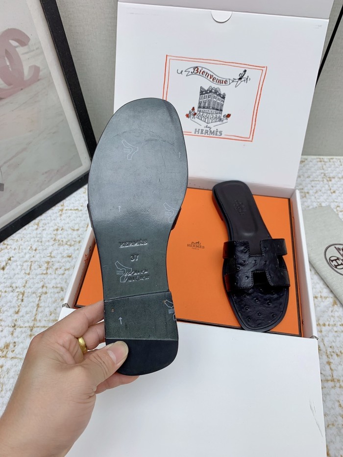 Oran Slides(Female)36-41=