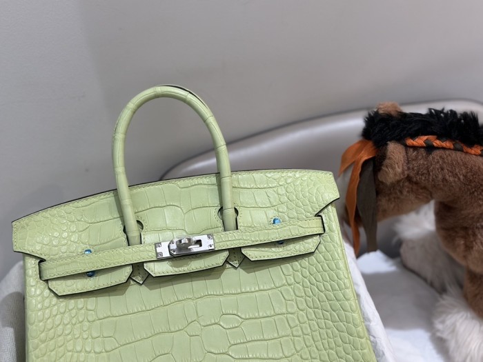 Birkin Crocodile“25*20*13CM”-0002=
