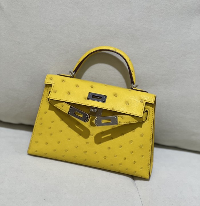 Mini Kelly 19 Ostrich“19*12*6CM”-0802=