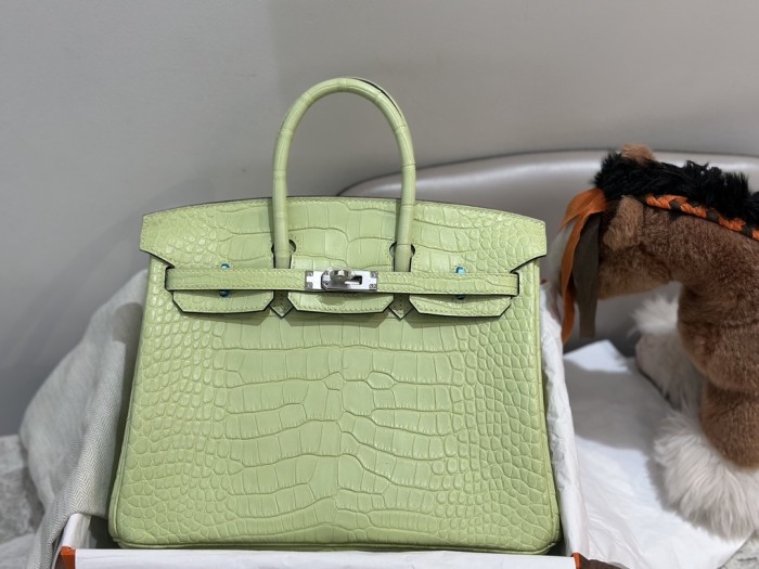Birkin Crocodile“25*20*13CM”-0002=