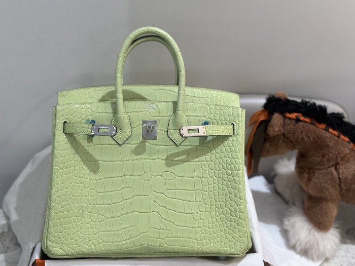 Birkin Crocodile“25*20*13CM”-0002=