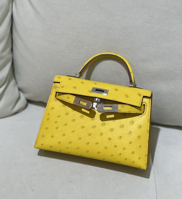 Mini Kelly 19 Ostrich“19*12*6CM”-0802=