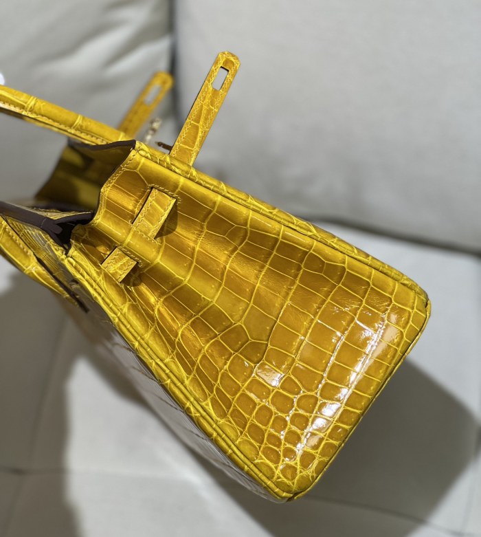 Birkin Crocodile“25*20*13CM”-0002=