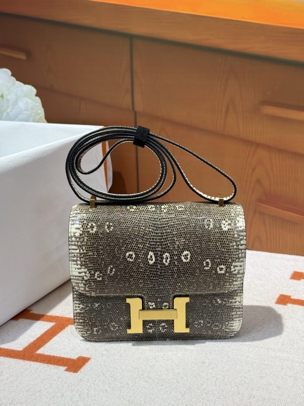 Constance 19 Mini Bag Lizard Skin“19*16*5CM”-0083=