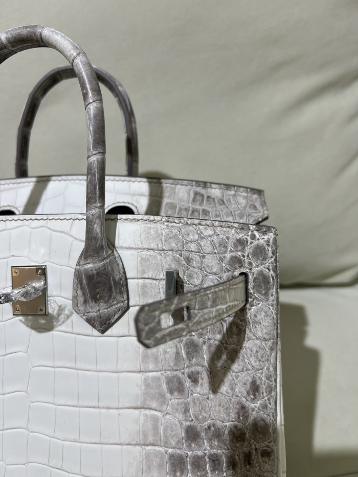 Birkin Crocodile 25Bag“25*20*13CM”-00081=