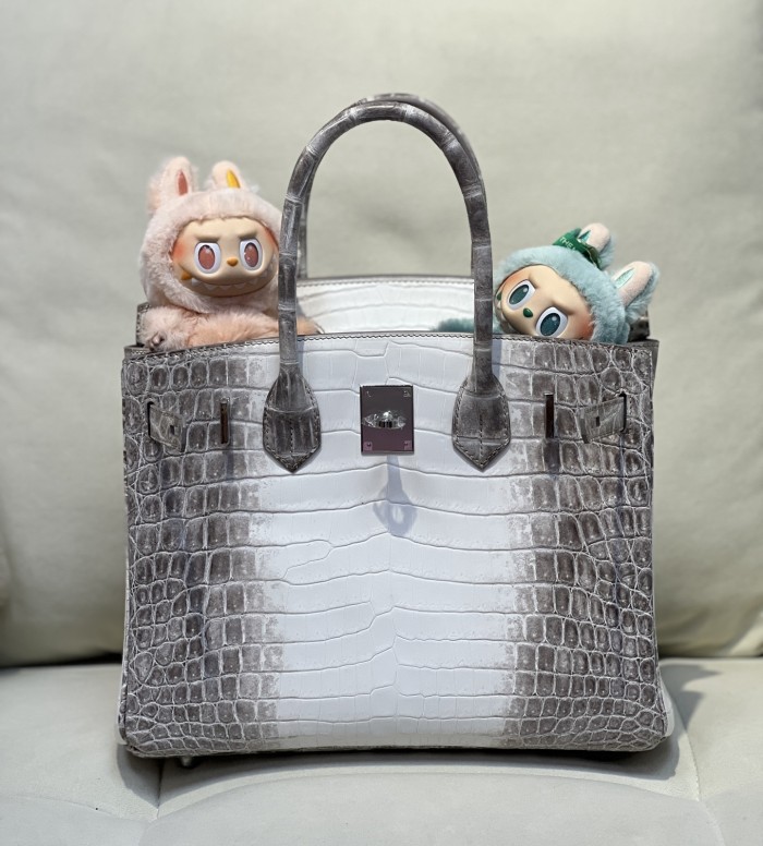 Birkin 30 Crocodile Niloticus Matte“30*22*15CM”-00831=