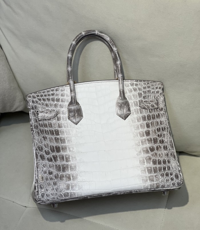 Birkin 30 Crocodile Niloticus Matte“30*22*15CM”-00831=