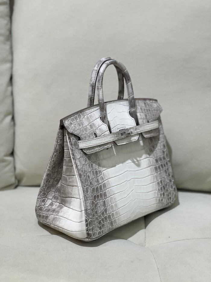 Birkin Crocodile 25Bag“25*20*13CM”-00081=