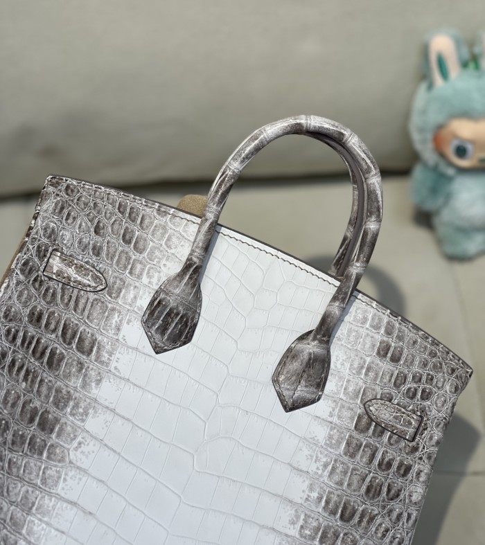 Birkin 25 Crocodile Niloticus Matte“25*20*13CM”-00821=
