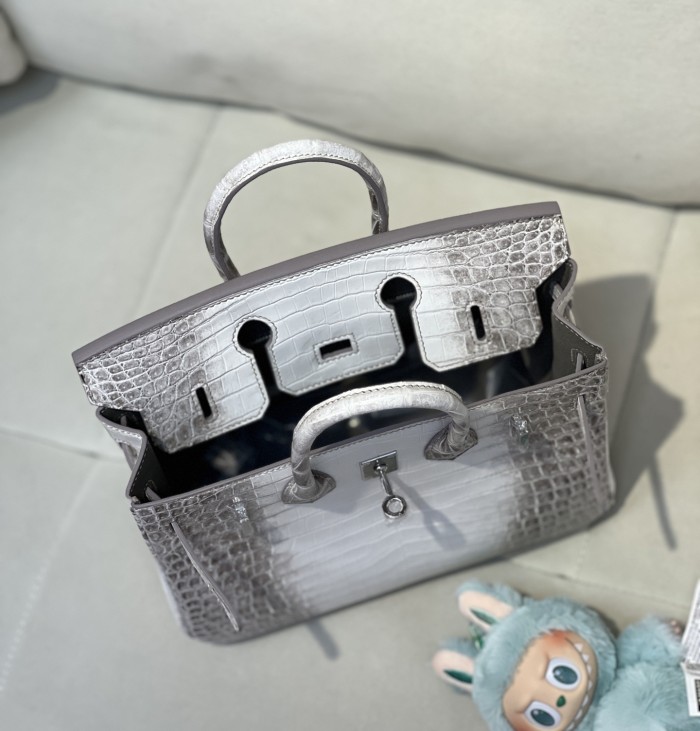 Birkin 25 Crocodile Niloticus Matte“25*20*13CM”-00821=