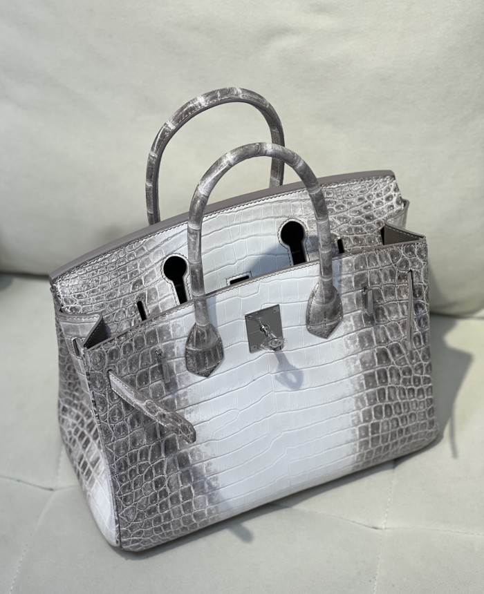 Birkin 30 Crocodile Niloticus Matte“30*22*15CM”-00831=