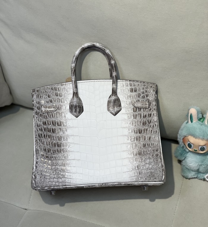 Birkin 25 Crocodile Niloticus Matte“25*20*13CM”-00821=