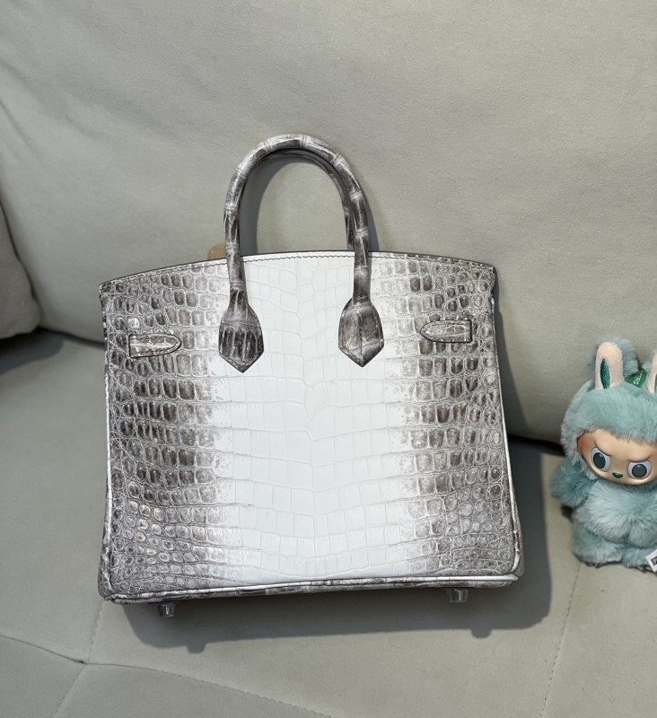 Birkin 25 Crocodile Niloticus Matte“25*20*13CM”-00821=
