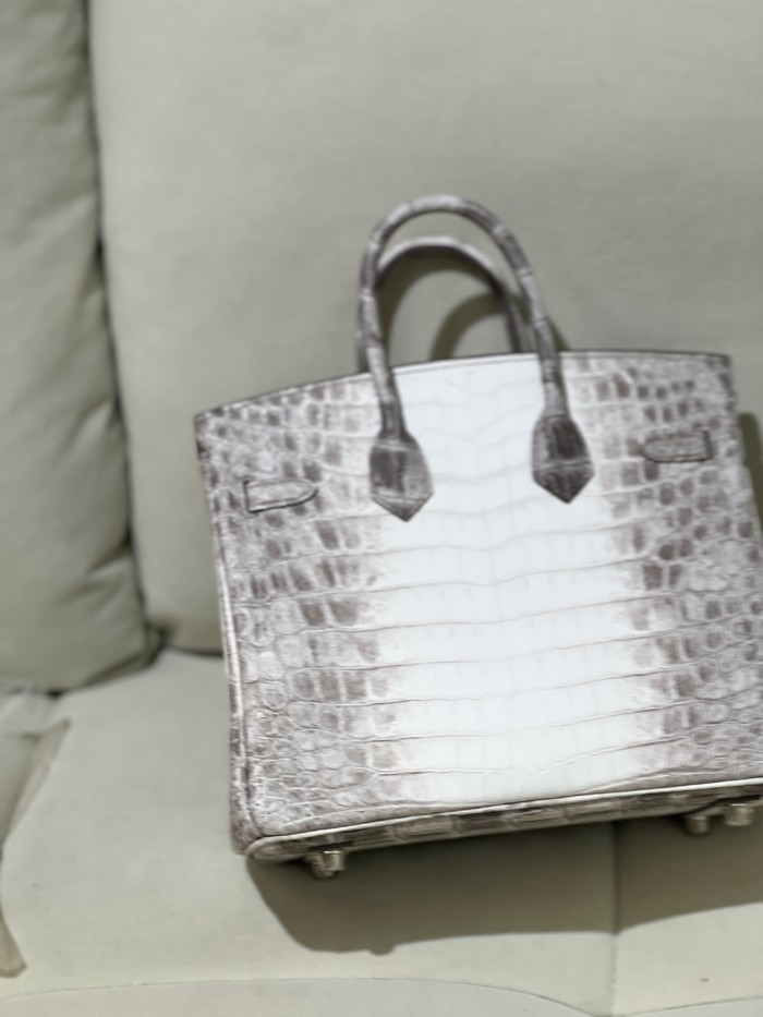 Birkin Crocodile 25Bag“25*20*13CM”-00081=