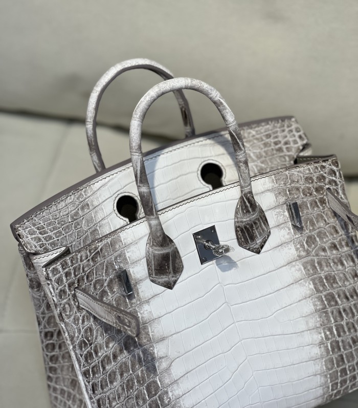 Birkin 25 Crocodile Niloticus Matte“25*20*13CM”-00821=