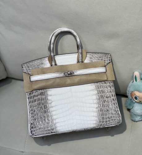 Birkin 25 Crocodile Niloticus Matte“25*20*13CM”-00821=