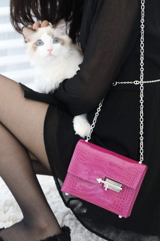 Verrou Chain Mini Bag 17 Alligator“17*14*4.2CM”-00801=