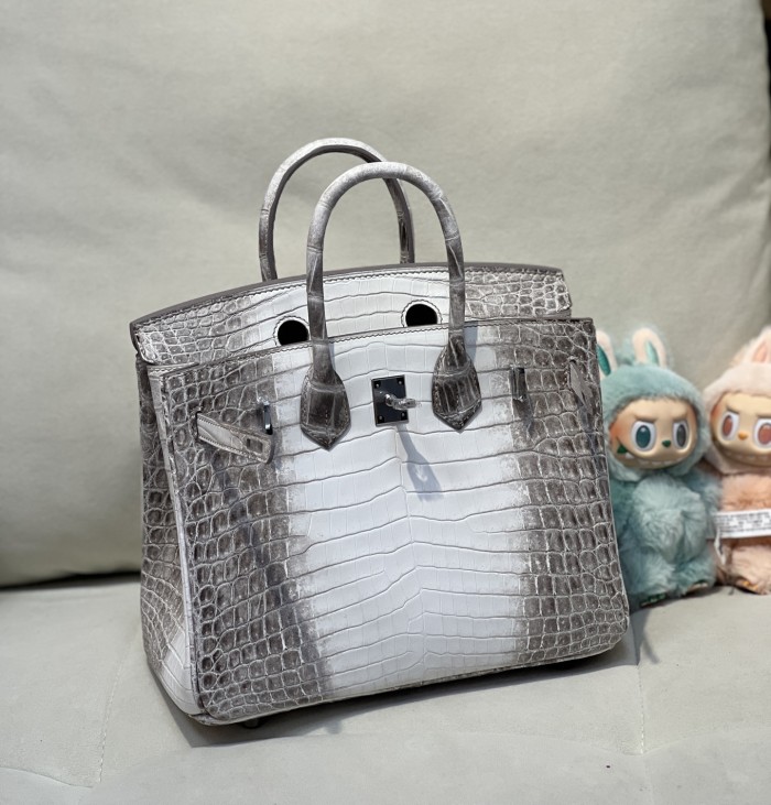 Birkin 25 Crocodile Niloticus Matte“25*20*13CM”-00821=